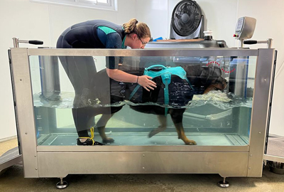 Canine Hydrotherapy
