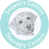 Rehabilitation for Muscle Balance