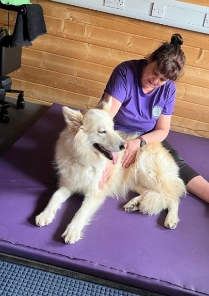 Rehabilitation for Hip Dysplasia