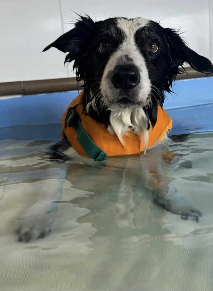 Rehabilitation for Amputation