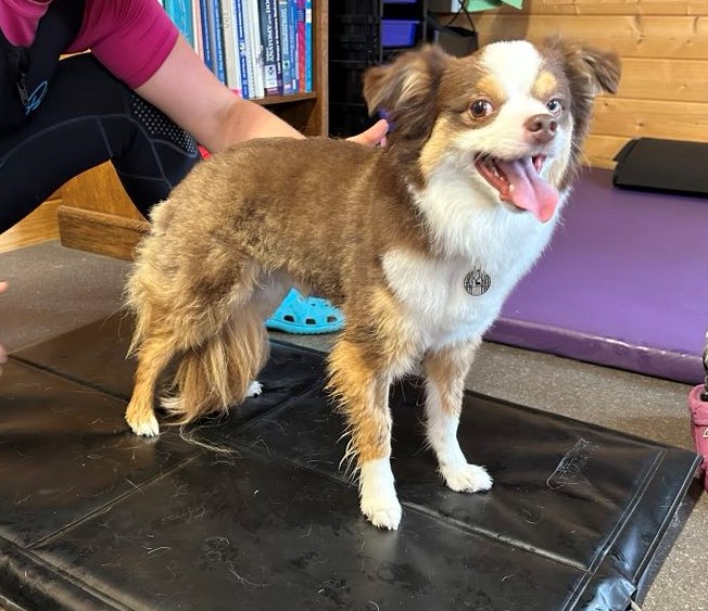 Analytical Equipment