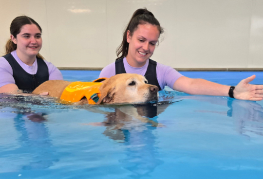 Hydrotherapy