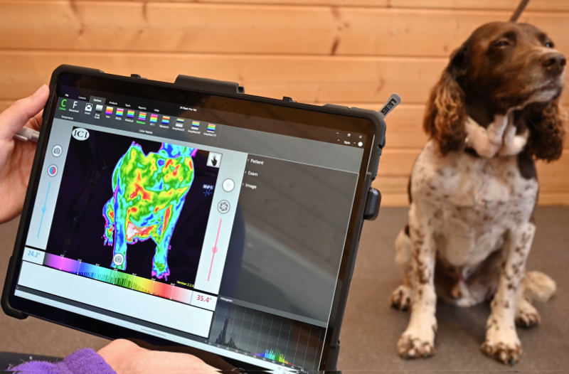 Thermal Imaging for dogs